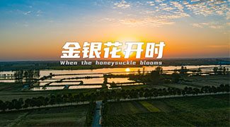 &#66;&#71;&#22823;&#28216;&#40;&#20013;&#22269;&#41;&#21807;&#19968;&#23448;&#26041;&#32593;&#31449;