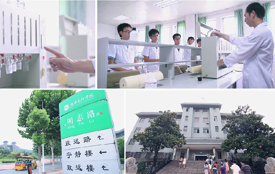 BG大游(中国)唯一官方网站